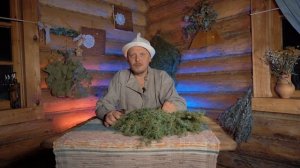 МОЖЖЕВЕЛОВЫЙ ВЕНИК ДЛЯ БАНИ! плюсы можжевелового вени
