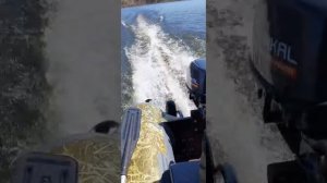 лодка АДМИРАЛ 305 и мотор БАЙКАЛ 9.8 покатушки.mp4