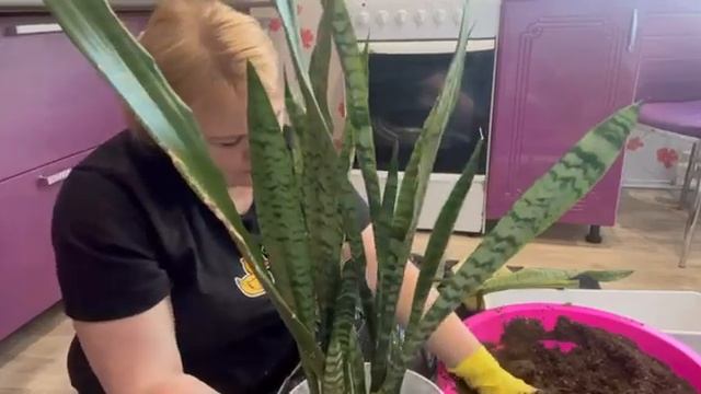 Начинается время посадки смотреть онлайн