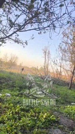 Дуэль бойца и бездушной машины для убийства. Спокойно чётко отработал. Без суеты и страха. Красавчик