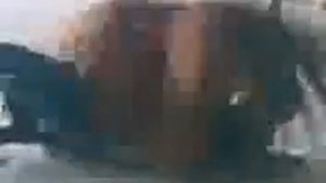 петух насилует кота)))