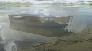 ПУГОВКА  - читает ТАТЬЯНА КУПРИЕНКО - автор Л.БАШКИРОВА - 2025