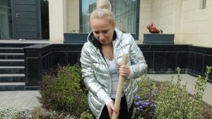 Виды осоки и их особенности