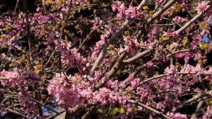 АЛУПКА 2025-ОШАЛЕТЬ. Во что РОССИЯ ПРЕВРАТИЛА город. Его