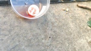 Доработка Nissan note E11 - Установка Парктроника