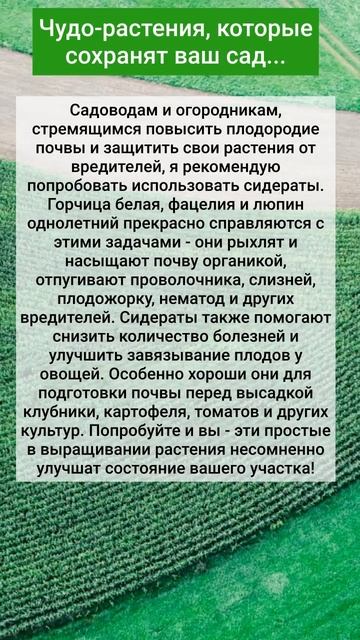 Чудо-растения, которые сохранят ваш сад...