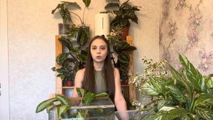 Мох сфагнум- 100% результат укоренения черенков 🌱