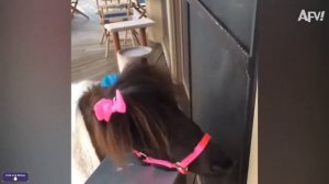 ПОПРОБУЙ НЕ ЗАСМЕЯТЬСЯ   СМЕШНЫЕ ВИДЕО   ПАДЕНИЯ