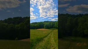 Лермонтов М.Ю. - Когда волнуется желтеющая нива (1837)