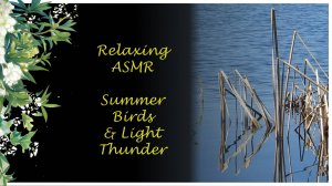 Relaxing ASMR Water Reflections and NATURE sounds