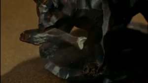 Домо кун - 19 серия