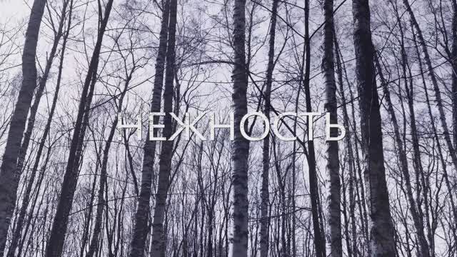 "Нежность".Муз. А.Пахмутова , Стих. Н.Добронравов, С.Гребенников. Исп. Н.Нурмухамедова, С.Литвяков смотреть онлайн