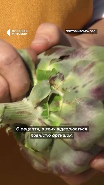 Фермерка вирощує артишок #shorts #артишок #artichoke