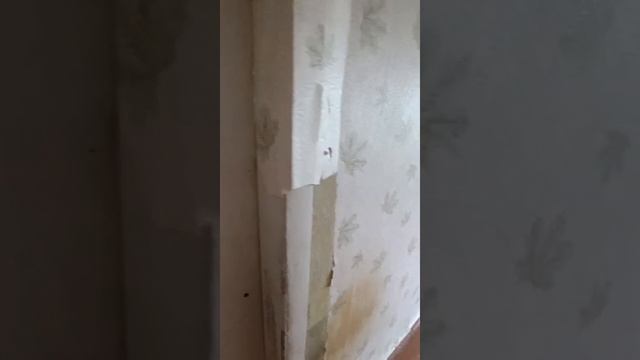 0508(1) смотреть онлайн