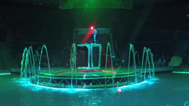 РАЗДИЛЕНИЕ Евгений Новоселов Фокусник Иллюзионист Волшебник illusionist Magician magic2021