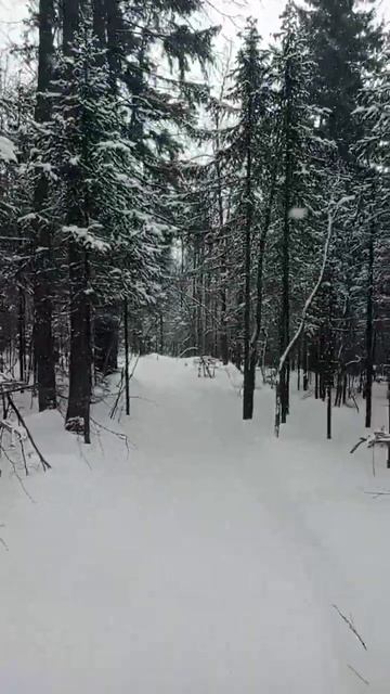 в одну харю решил пробежаться по Тагагаю до Круглицы. Погода шикарная Таганай бег трейлраннинг