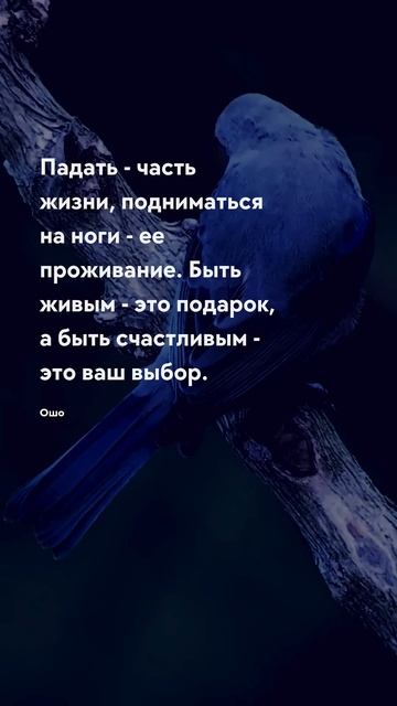 Быть живым Про жизнь - цитаты #цитаты #цитати #прожизнь