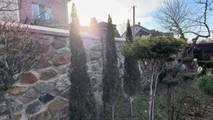 УЗКО-КОЛОНОВИДНАЯ ФОРМА ХВОЙНЫХ НА МАЛЕНЬКОМ УЧАСТКЕ?