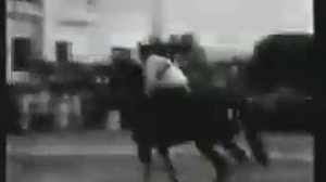 Мировой рекорд по конкуру