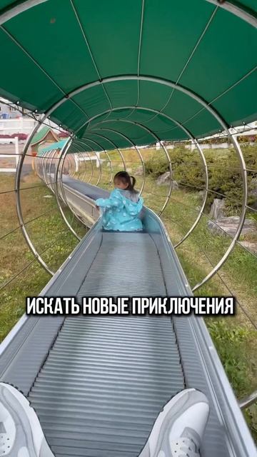 Каждый день - новый шанс быть счастливым сегодня #коре?