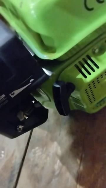 Запуск двигателя SWAT EG 6.5 л.с. после 10 лет простоя