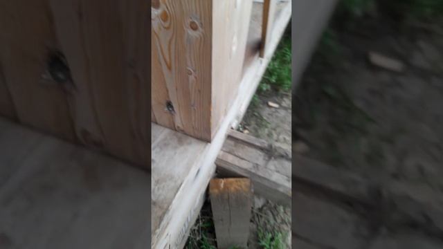 Фахверк криво и надежно. Как не правильно строить дома