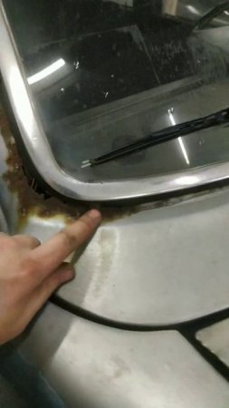 сгнивает рамка лобового стекла