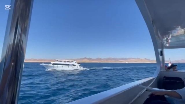 Красное море. Белая яхта. Шарм эль Шейх. #trip #travel #yacht