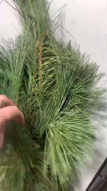 Всегда с радостью едем за свежей поставкой🤗 🌺 #shorts#б? смотреть онлайн