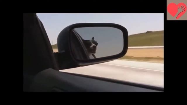 Приколись-подпишись!!!! Приколы с людьми 2019 смотреть онлайн