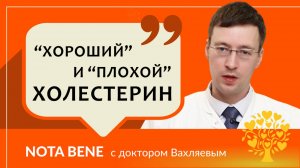 Холестерин «хороший» и «плохой»: какова норма и почему важно контролировать показатели?