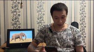 ЛИРИКА | ПРЕГАБАЛИН | АПТЕКА