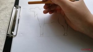 гайд как нарисовать лося