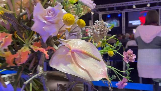 Дрезден Выставка Орхиде й 🌸🌺🌼Музыкальная Минутка
