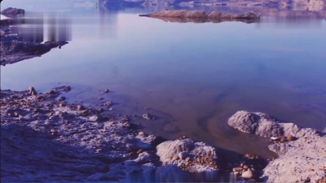 Не белите деревья, и они скажут вам спасибо.