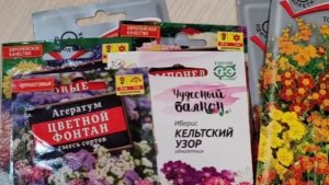 Семена цветов,которые буду выращивать этим летом.