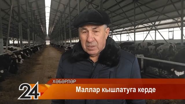 Маллар кышлатуга керделәр - 11 ноябрь 2021 ел смотреть онлайн