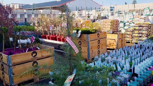 VLOG из 🇩🇪: Цены кусаются. Строительный магазин. Шок!!! ? смотреть онлайн