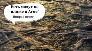Есть ли мазут на пляже в Агое