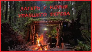 Лагерь у корня упавшего дерева | Приготовление пищи | Выживание | Bushcraft