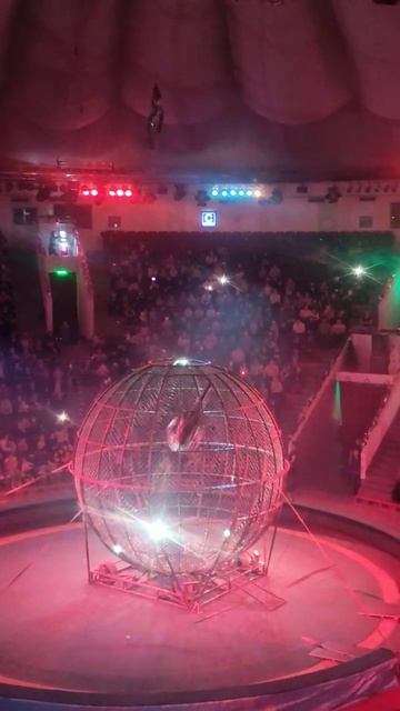 Астана цирк 2022г смотреть онлайн