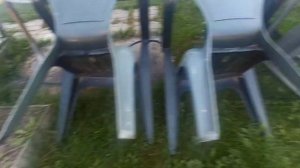 Жимолость зацвела в сентябре, лаванда  почему-то тоже?