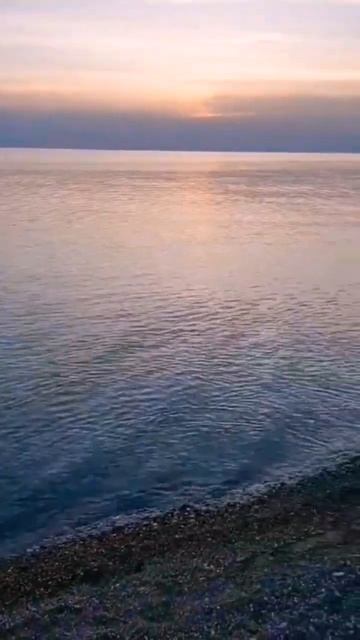 #гостевой дом родина #море смотреть онлайн