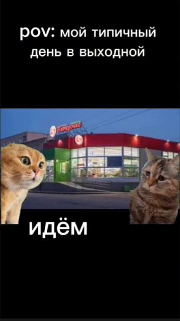 пов мой типичный выходной #мем #прикол #выходнойдень смотреть онлайн