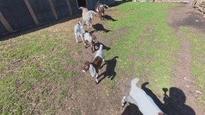 Кто бы мог подумать!