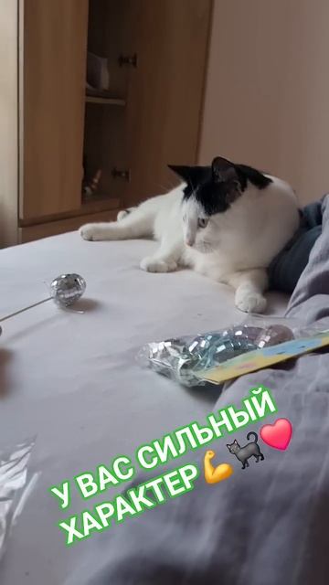 Три признака если у вас сильный характер от Стетхема?
