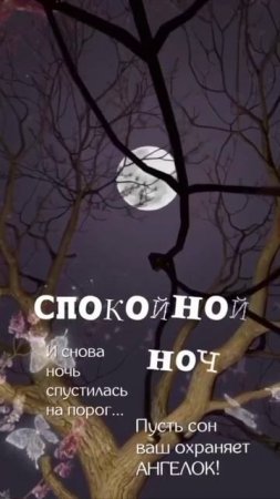 Спокойной ночи.