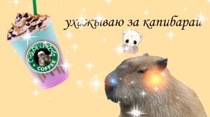 игра уход за капибарой
