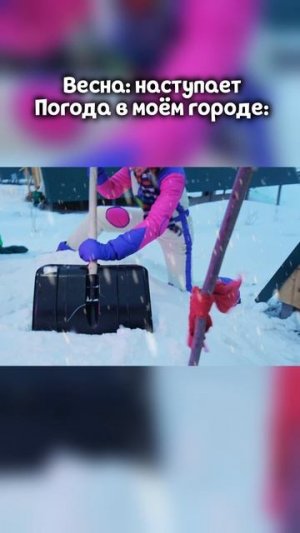 Типичная погода в моём городе