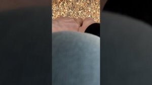 Ремонт пыльника шруса без разбора
